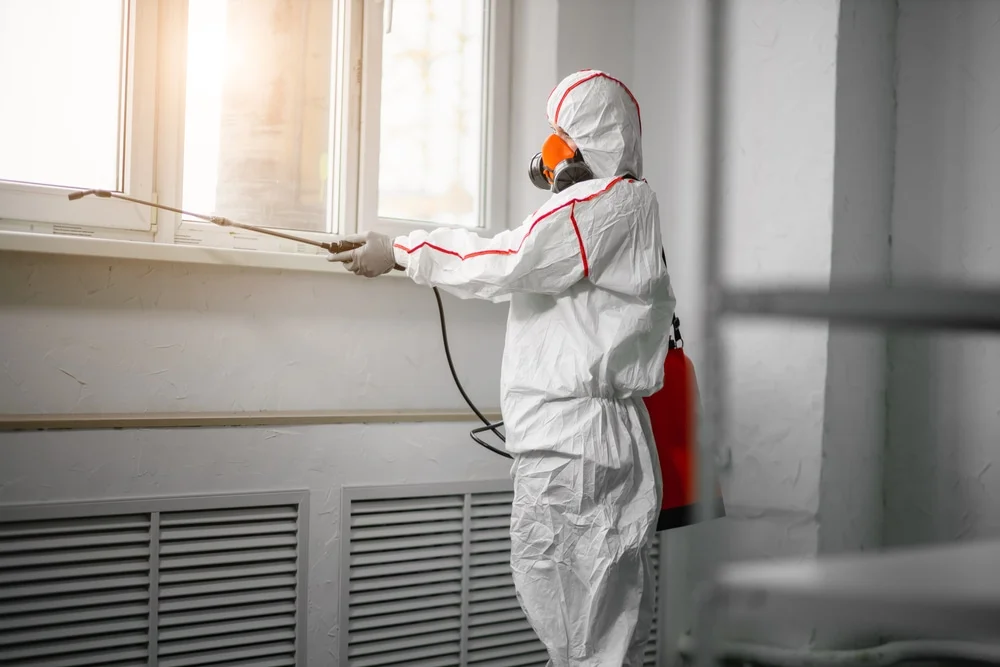 Professional mold remediation services in Barnsdall, OK